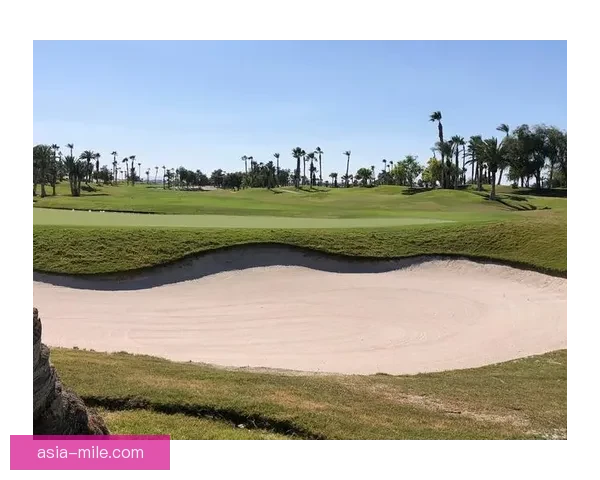 2025夏季转会窗沙特联俱乐部支出明显回落