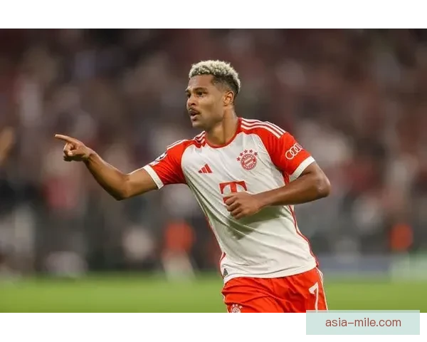 拜仁慕尼黑宣布格纳布里因腿部肌肉撕裂将缺阵四周 