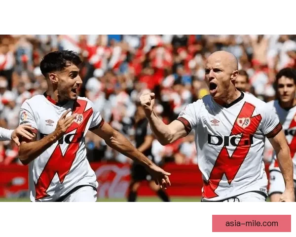 英甲焦点战巴恩斯利对阵卡迪夫城比赛因大雾临时推迟举行