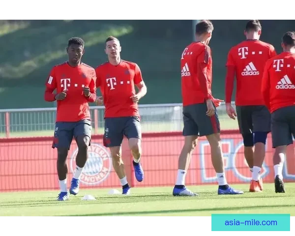 阿拉巴十字韧带重伤康复全过程与运动生涯影响分析